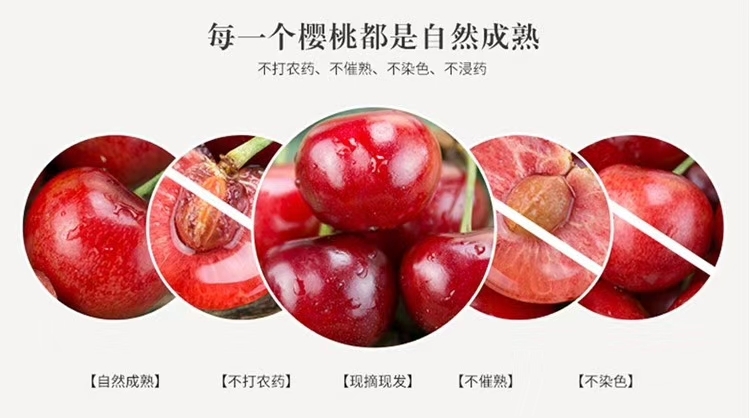秦皇岛 秦皇岛山海关砂蜜豆大樱桃