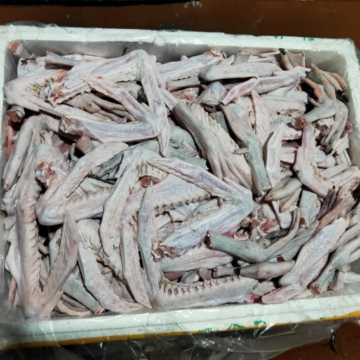 佛山全部黑粽鹅大鹅掌亦
