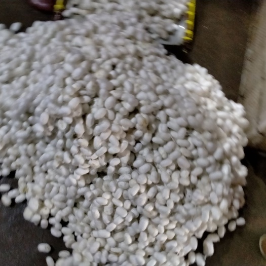 如皋市蚕丝 自产自销，质量保证，假一罚十