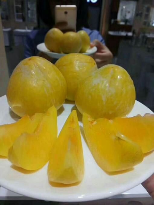 炎陵县 炎陵黄金奈李，果正，香甜可口！