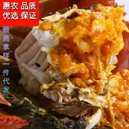 固城湖大闸蟹/高淳六月黄童子蟹/一元蟹/鲜活尝鲜/全国包邮