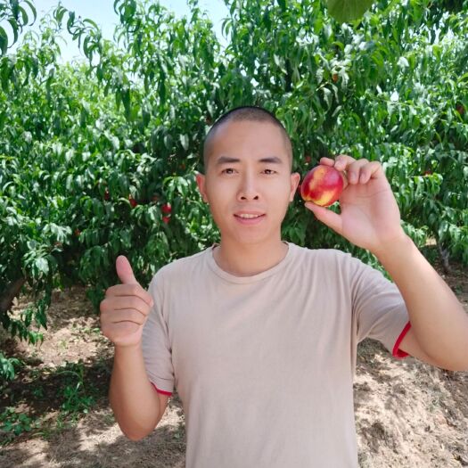 新绛县 油桃之乡油桃全国包邮了