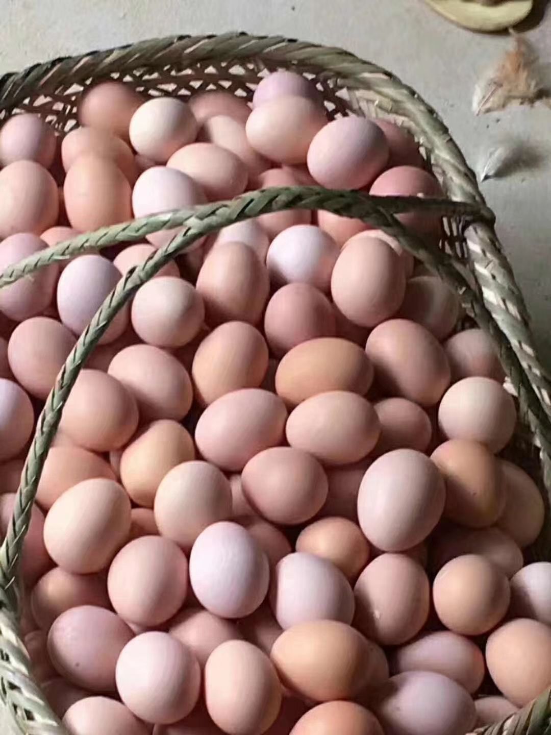 [粉壳蛋批发]粉蛋 食用 箱装价格6元/斤 - 惠农网