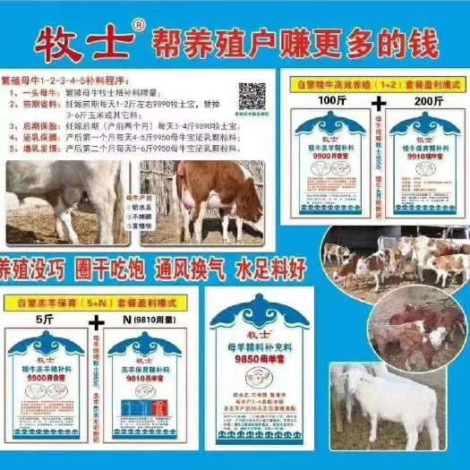 沈阳 牛羊饲料