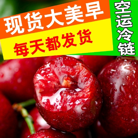 栖霞市 山东大樱桃，冷链直发