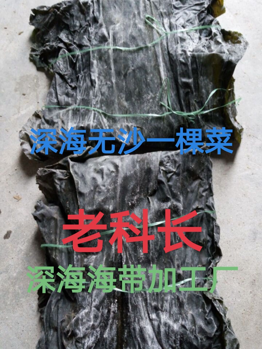 武陟县鲜海带  深海海带片：新品无沙一棵菜.30公分短板菜.杂质少