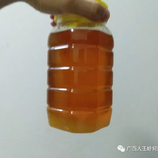 百色 广西百色大王岭何氏百花土蜂蜜