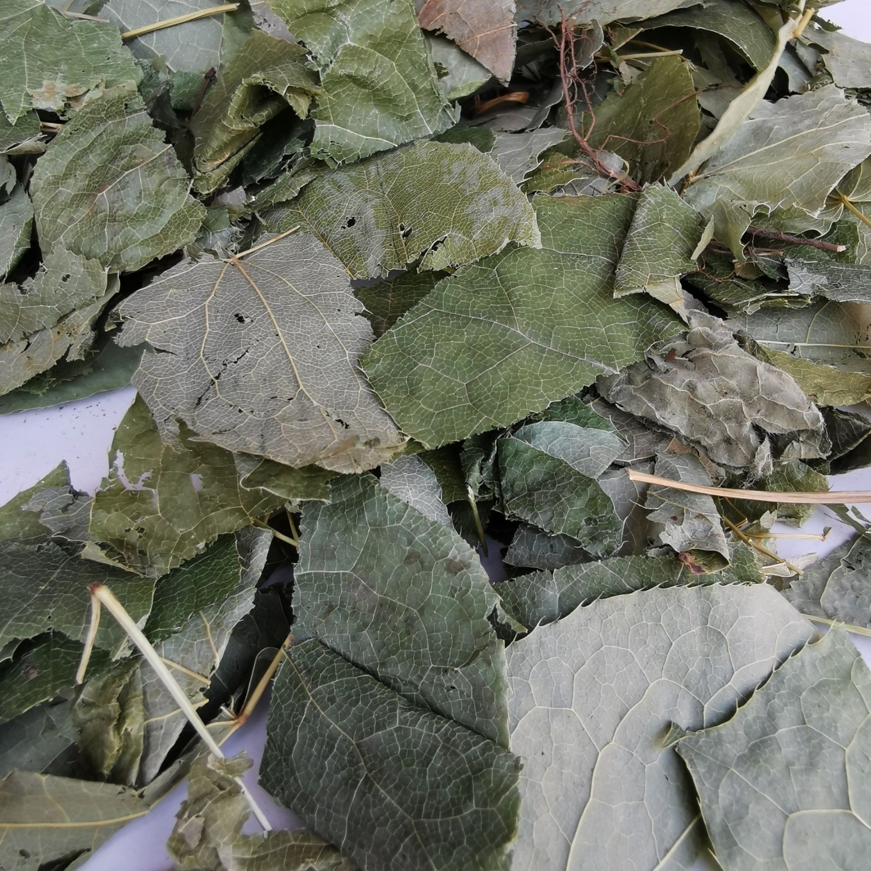 东北淫羊藿正品保证 中药材 健康至上 莫贪便宜 【包邮】