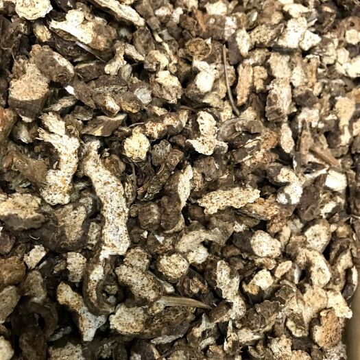 成都 长期供应各类规格苍术