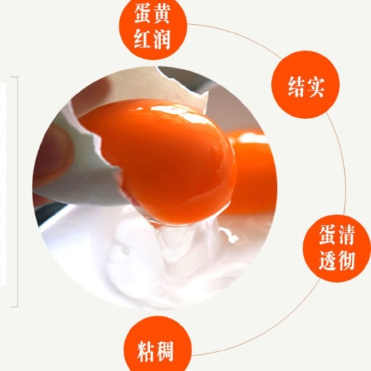 漳浦县 食用红心鸭蛋