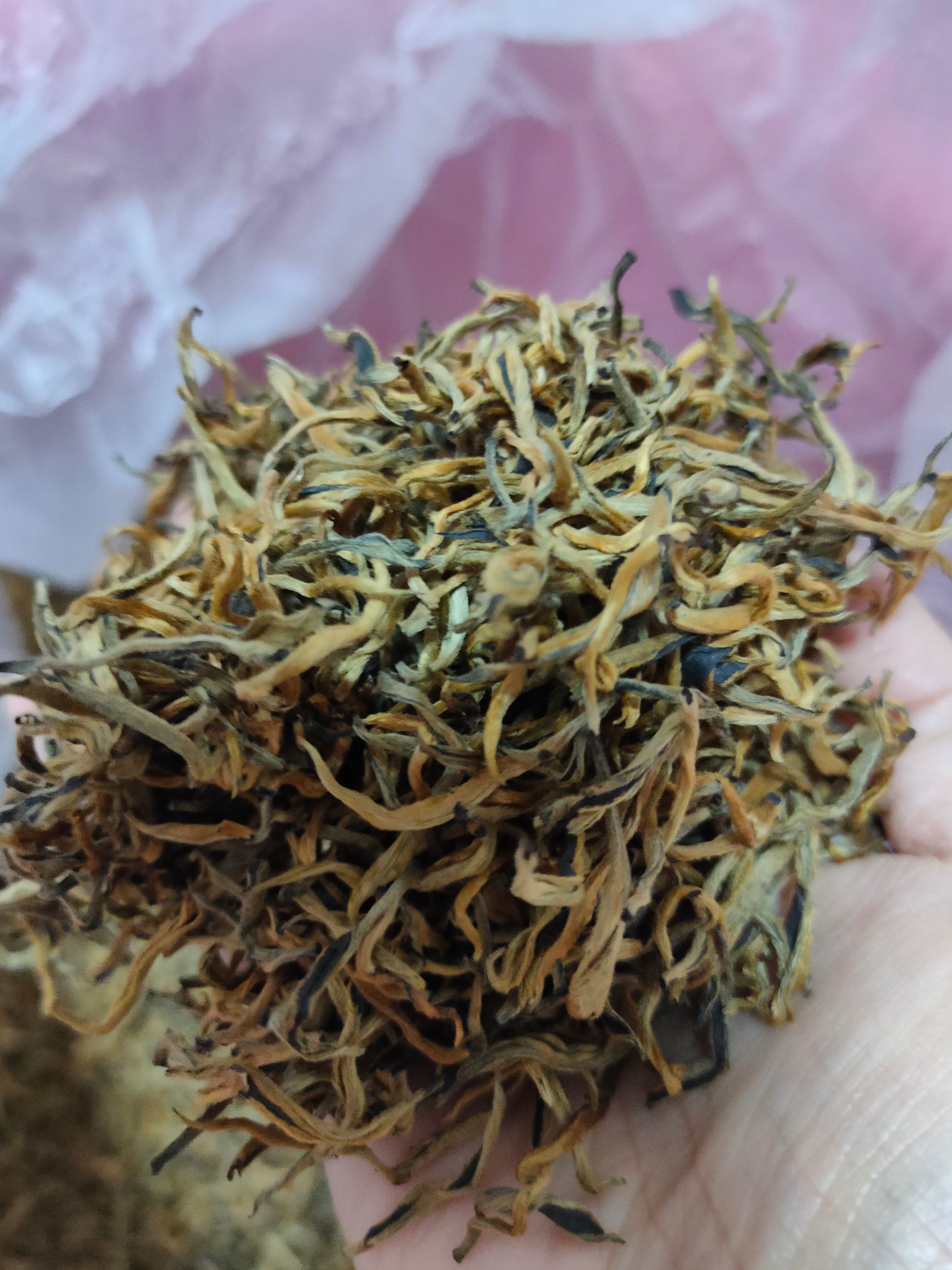 滇红金芽  小金芽