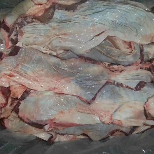阳信县 纯干罗肌肉