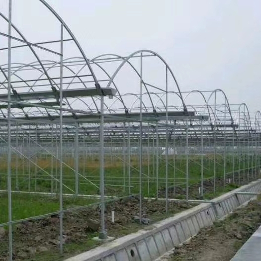 沭阳县养殖大棚 各种规格大棚