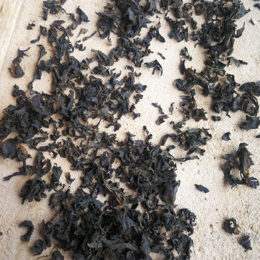 同心县精品优质免洗小片地皮菜