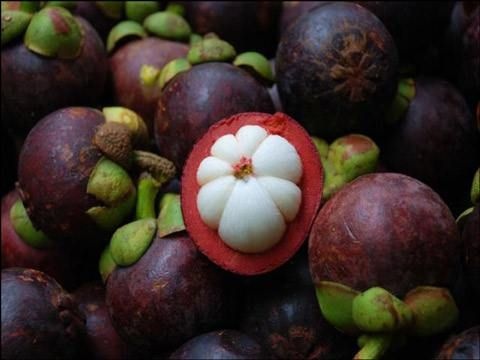 昆明泰国山竹 保证质量 欢迎大家下单采购