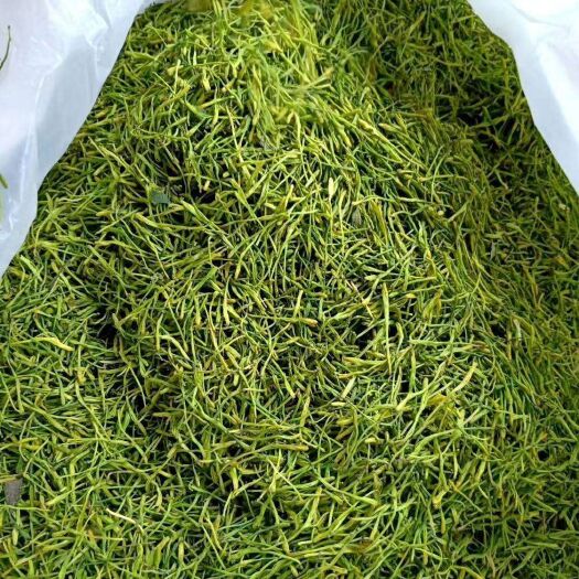 金银花  2023花茶新货