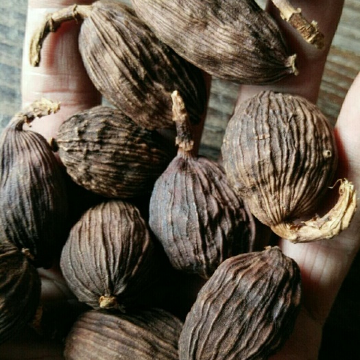 腾冲市草果