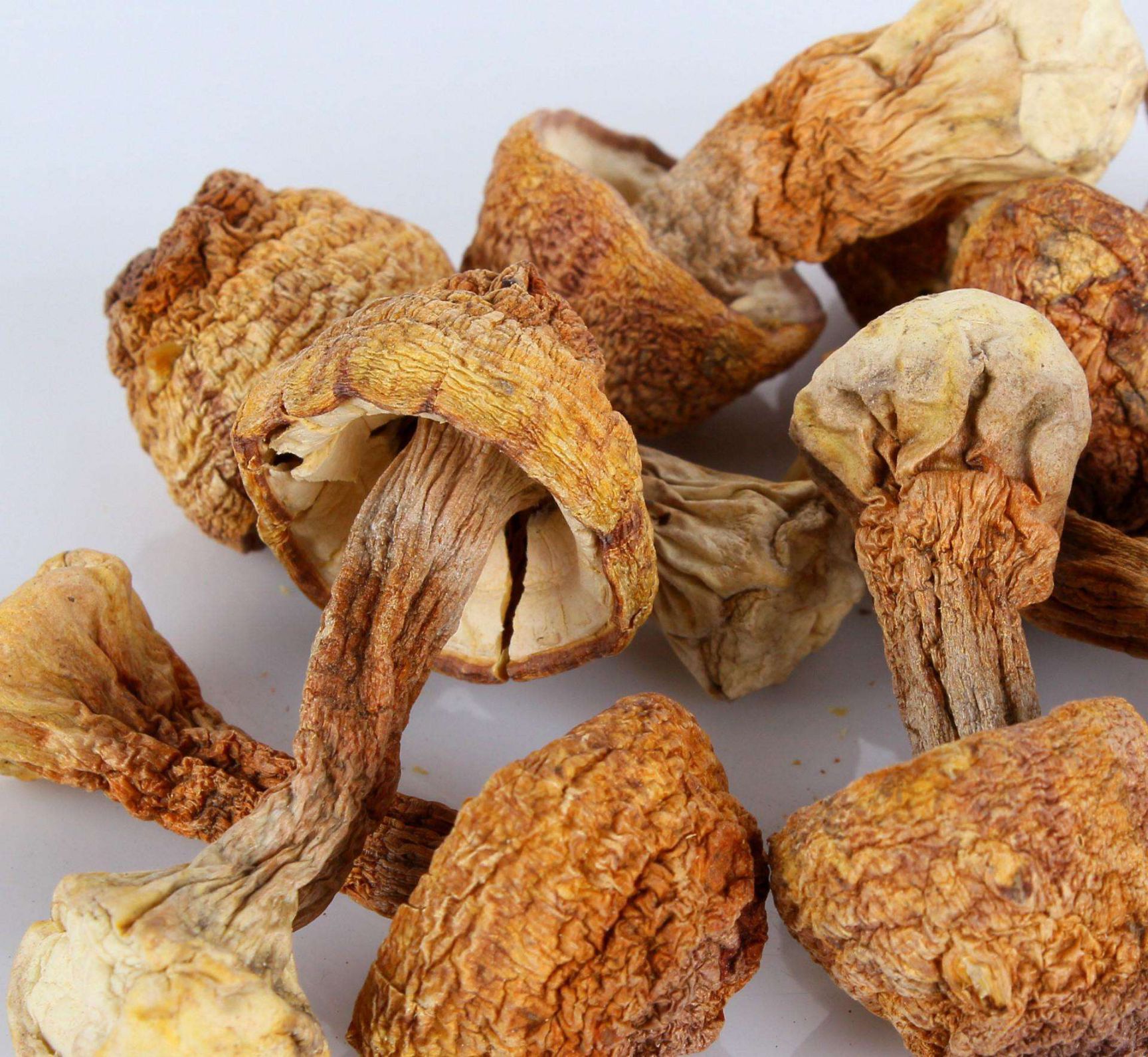 昆明干松茸  云南姬松茸半开伞优质货低价批发质量保证