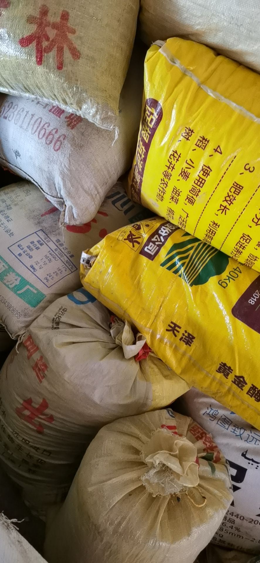 纯手工蒲黄现货5吨