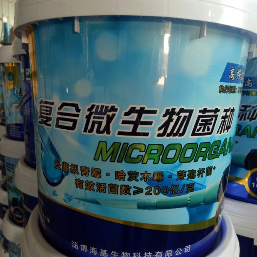淄博复合微生物菌剂 微生物菌种