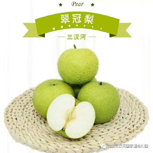 蚌埠 大量翠冠梨有意向私聊沟通