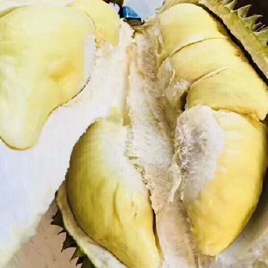 佛山 泰国金枕榴莲