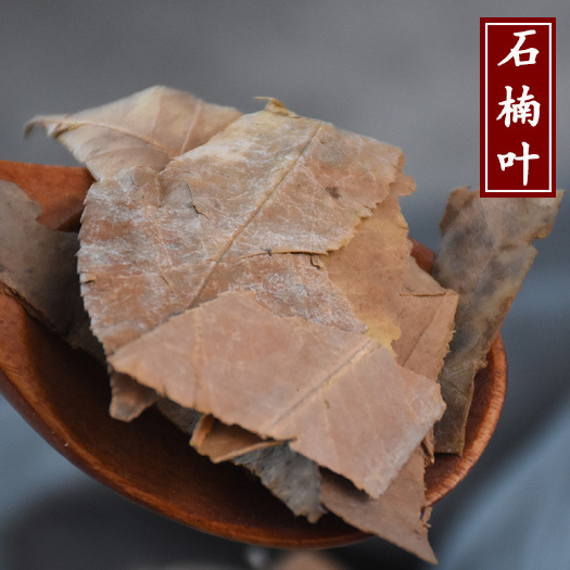 亳州石楠藤 石楠叶 可打粉专营中药批发