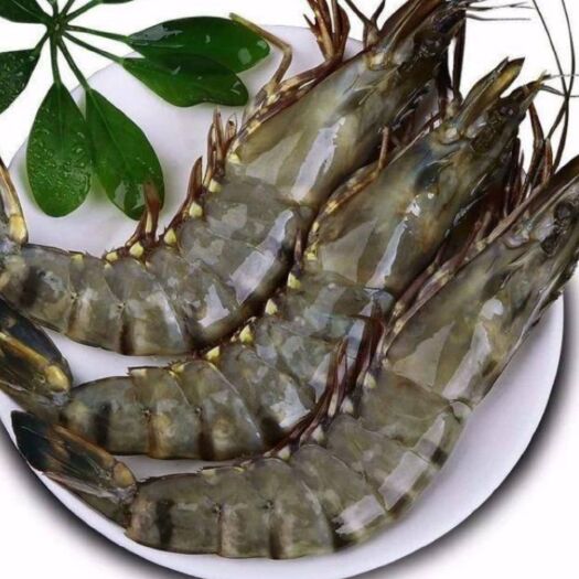 无棣县斑节对虾 渤海湾基围虾 盐田大虾渤海湾特色水产具体价格按