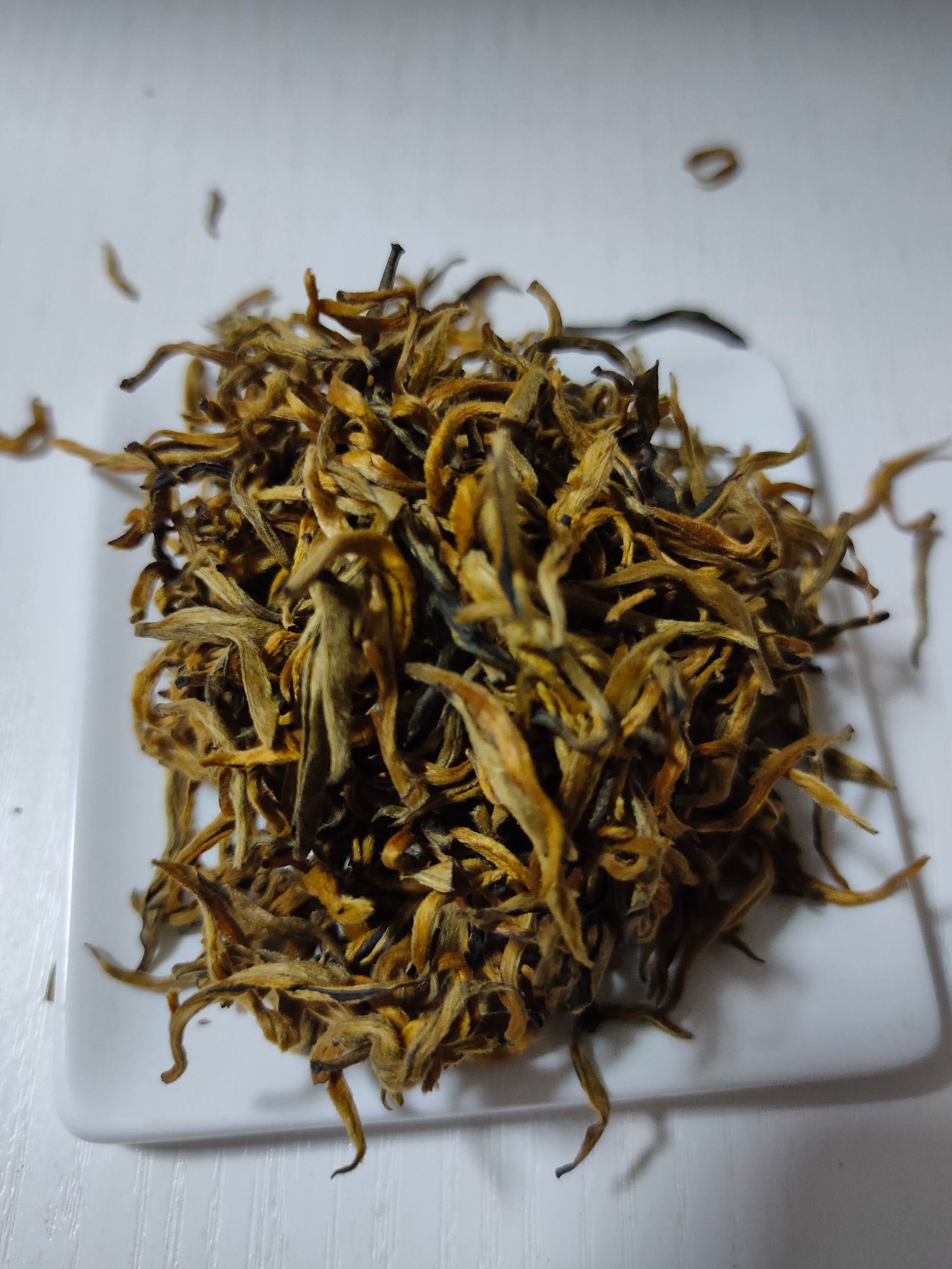 滇红金芽  小金芽