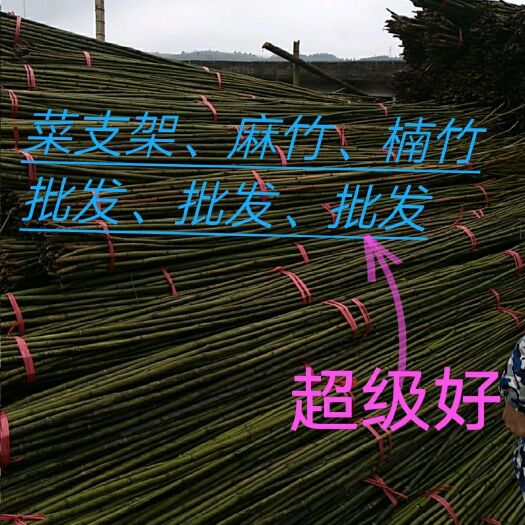 嘉禾县麻竹  ，水竹，楠竹，竹苗