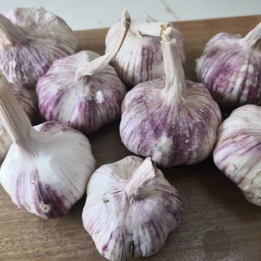 紫皮大蒜 混级统货