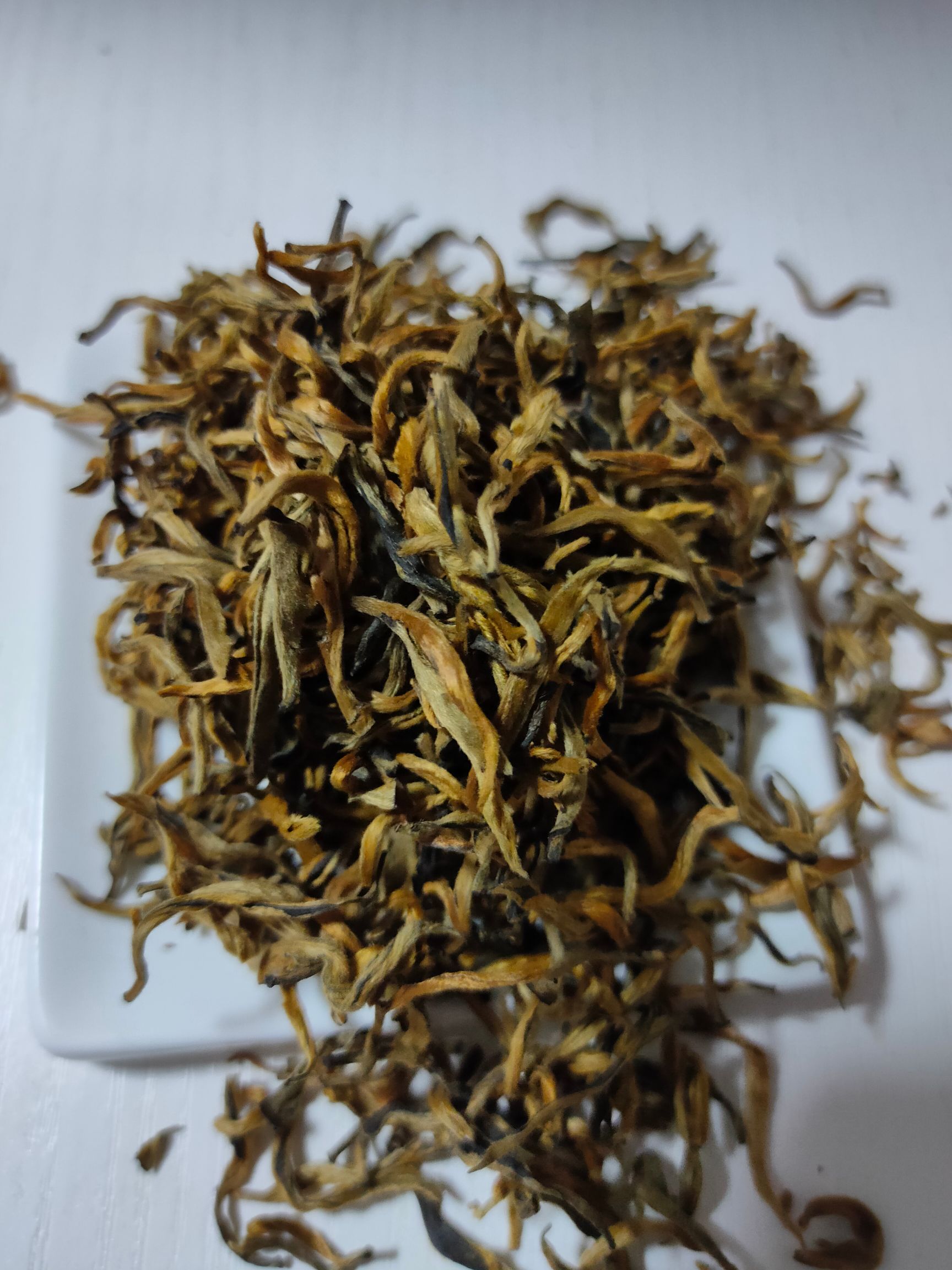 滇红金芽  小金芽