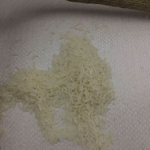 佛山 老挝香米