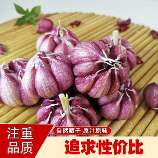 六盘水金乡大蒜  云南红蒜