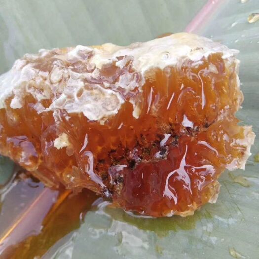 澜沧县 正品土蜂蜜