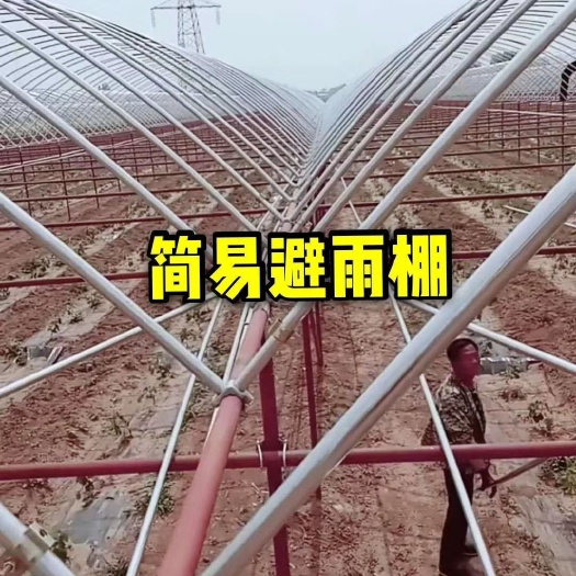 东光县养殖大棚 大棚火了