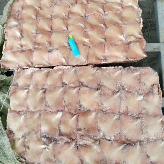 荣成市 真鱿鱿鱼小耳朵