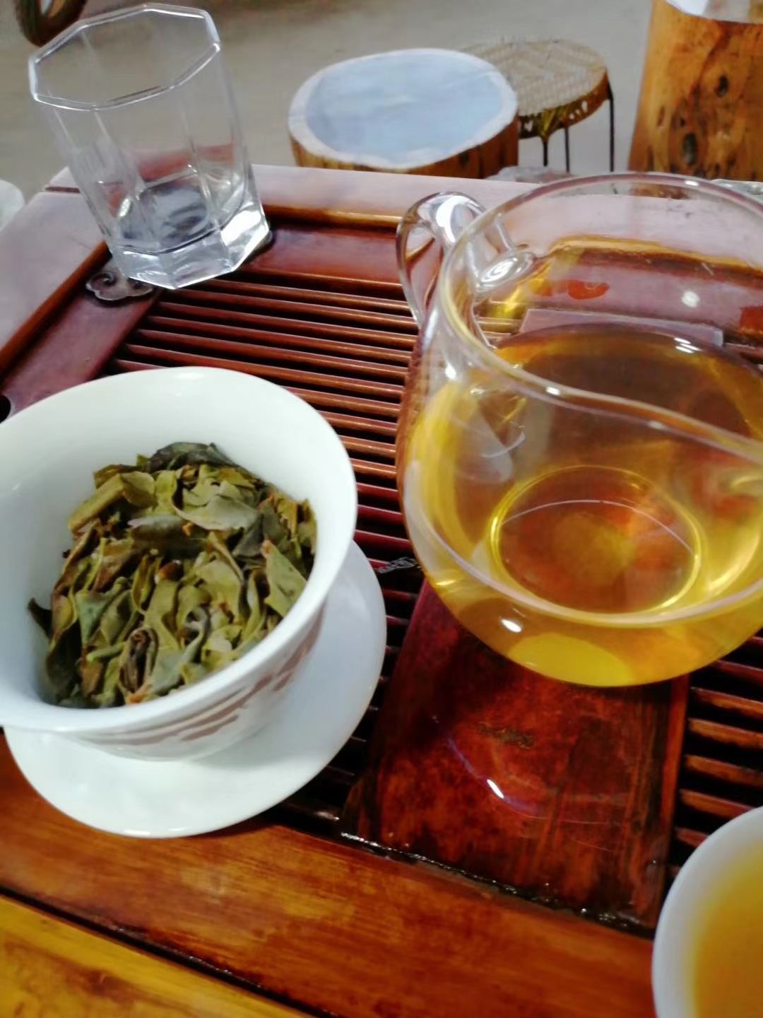 忙肺大叶茶 忙肺古树茶  春茶 黄金叶
