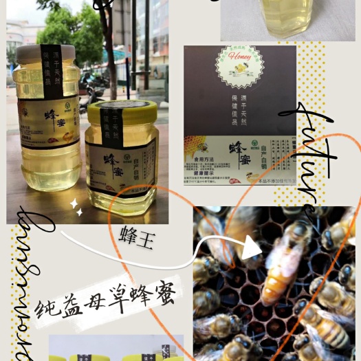 东至县 蜂蜜纯正天然 益母草蜂蜜