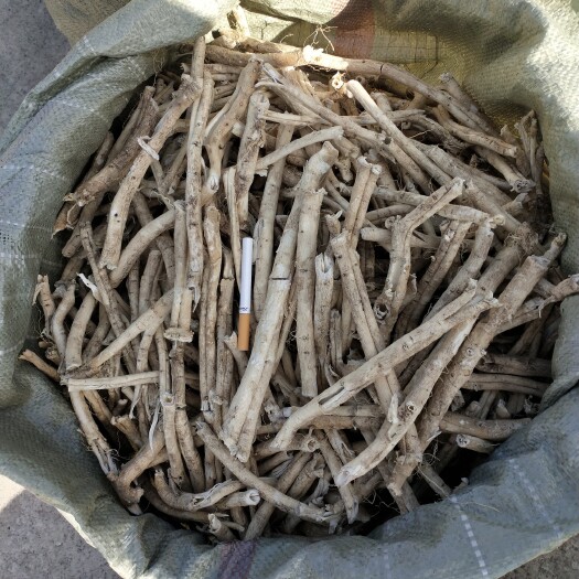 鄂温克旗 内蒙古呼伦贝尔纯大自然精品白鲜皮