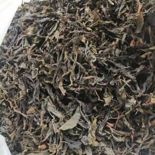 永德县忙肺大叶茶 忙肺古树茶  春茶 黄金叶
