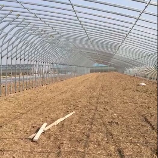 天津椭圆管暖棚 12米跨度无立柱暖棚