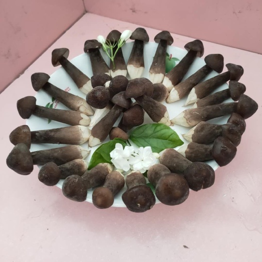 扬州蘑菇 黑皮鸡纵菇，营养价值高