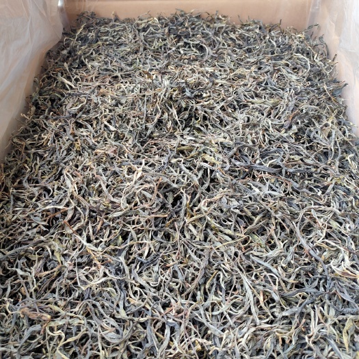 勐腊县易武普洱茶 铜箐河古树茶