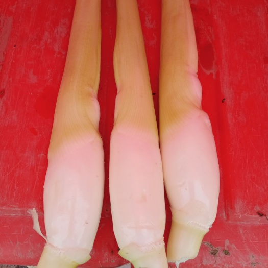 高山茭白 价格合理，货源充足
