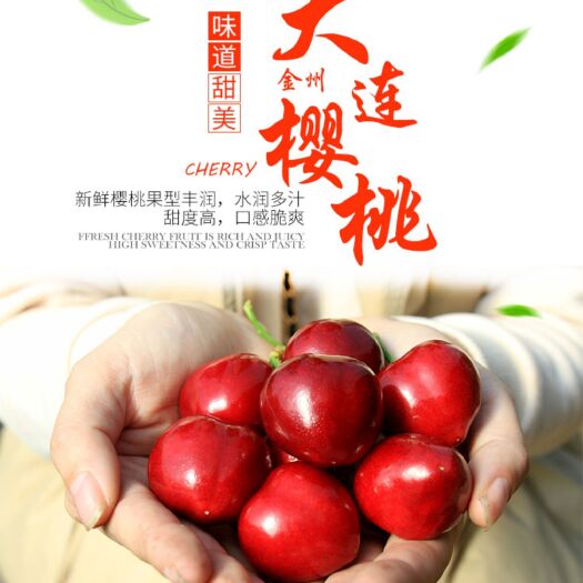 大连 大连七顶山大樱桃车厘子孕妇水果特产大樱桃
