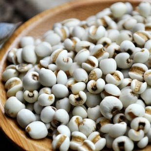 生薏仁  小薏米新货白苡仁米小颗粒饱满贵州白薏仁8斤起批[一