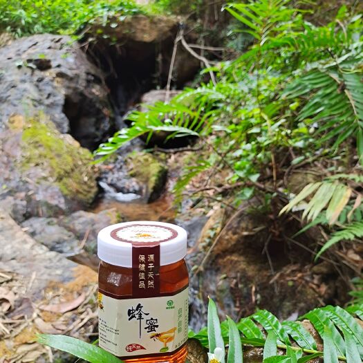 化州市 天然土蜂蜜一斤装128元