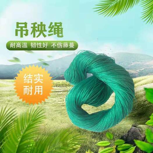 无棣县吊秧绳 聚乙烯尼龙绳大棚吊绳压膜绳渔网线