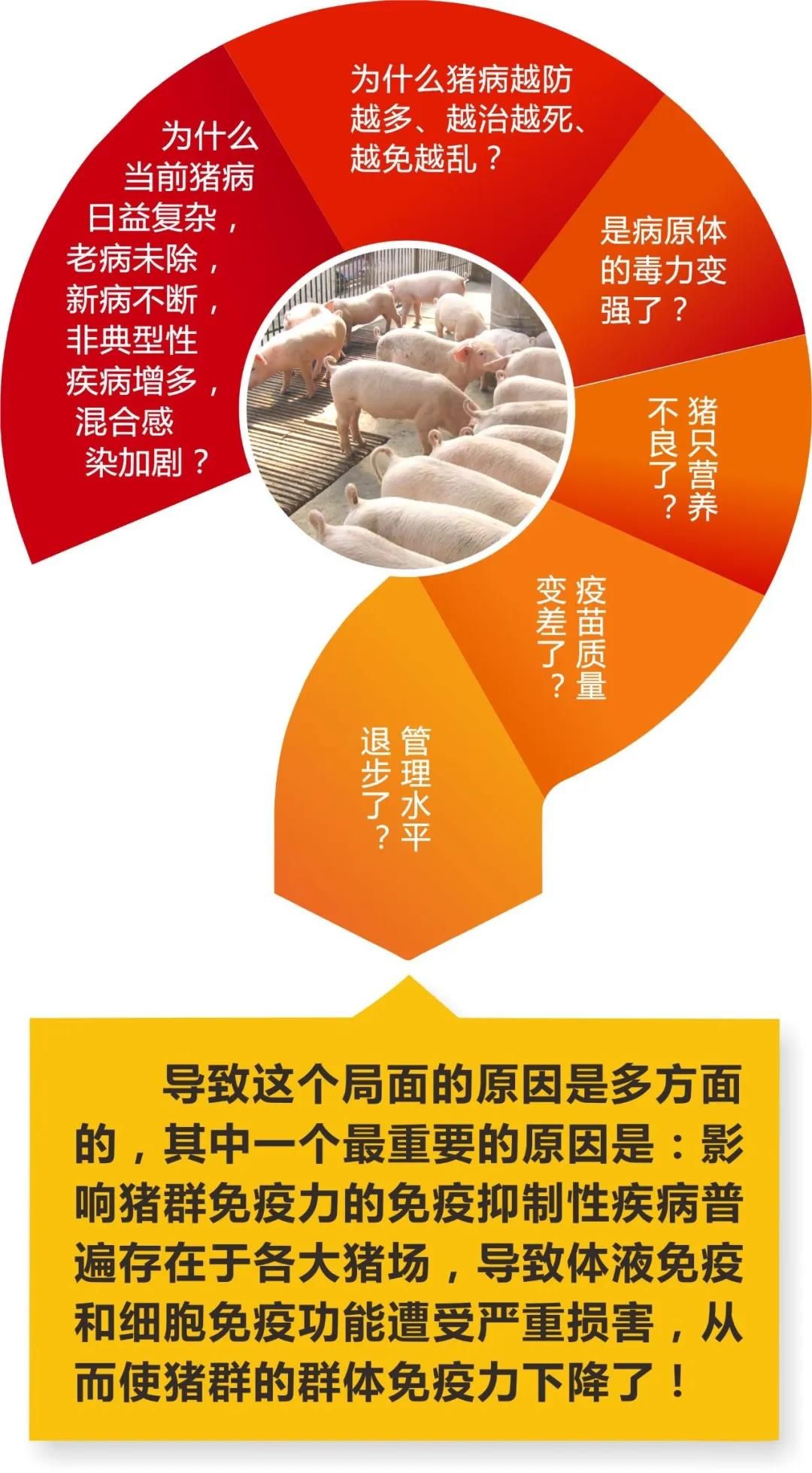 混合型饲料添加剂 猪传染性胸膜肺炎、猪肺疫、猪气喘病理想物